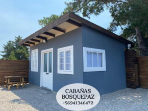 Cabaña bosquepaz independiente